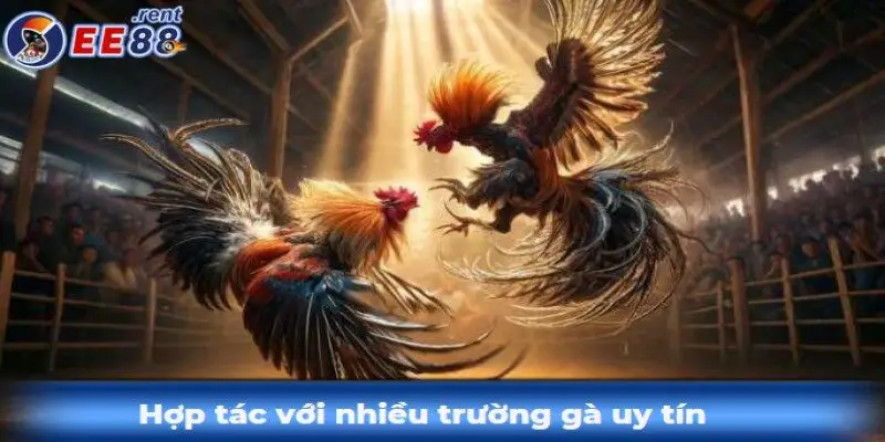 Hop-tac-voi-nhieu-truong-ga-chat-luong-va-tin-cay