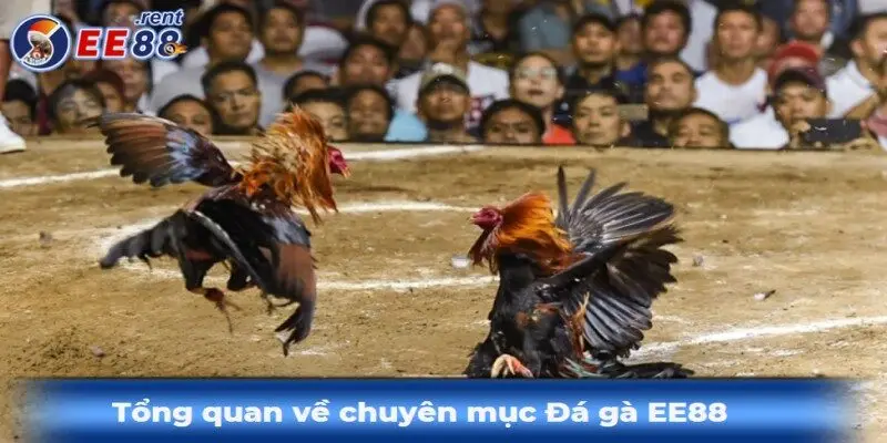 Nhung-thong-tin-so-luoc-ve-da-ga-ee88