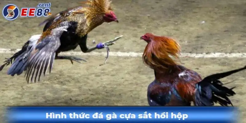 Trai-nghiem-da-ga-cua-sat-kich-tinh-va-loi-cuon