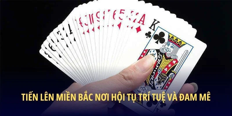 Tiến Lên Miền Bắc nơi hội tụ trí tuệ và đam mê